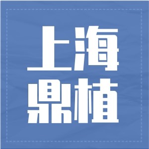 上海鼎植舒客口腔門(mén)診部