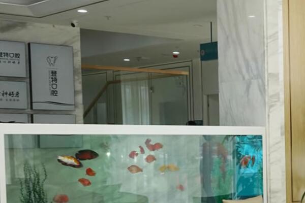 佛山登特口腔醫(yī)院