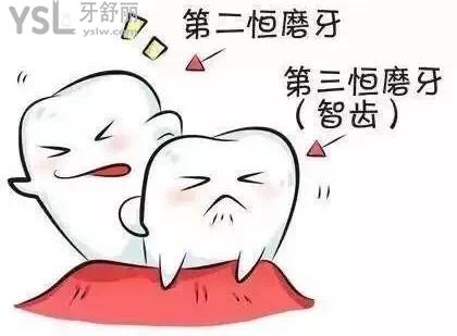 u=579563500,2182107948&fm=26&gp=0.jpg