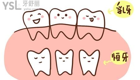 乳牙掉了多久長(zhǎng)新牙