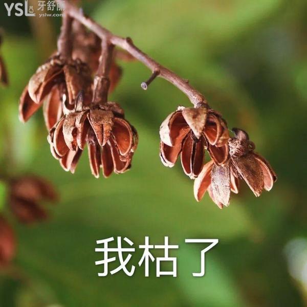 血淚史！不要隨便做根管治療，這些情況騙你做了也白做！！