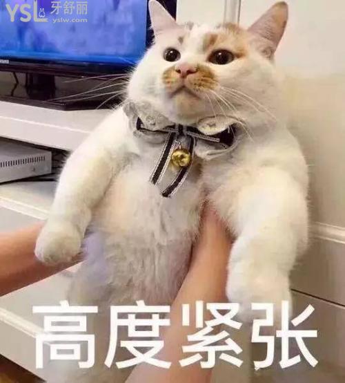 種植牙過程痛苦難受嗎，究竟疼不疼？
