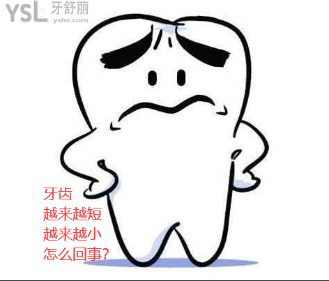牙齒越來(lái)越短越來(lái)越小什么原因