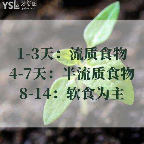 種牙后食譜(1~14天)