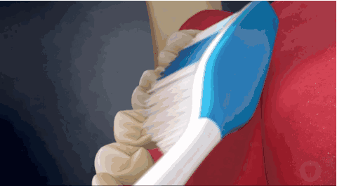  去黃牙膏哪個(gè)牌子好 .gif