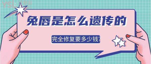 兔唇是顯性遺傳還是隱性遺傳，完全修復(fù)要多少錢.jpg