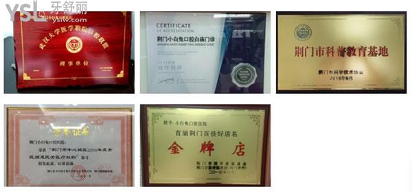 荊州小白兔口腔榮譽(yù)