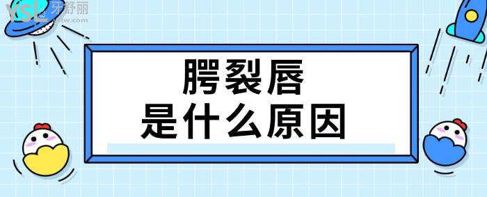 腭裂唇是什么原因，如何預防？.jpg