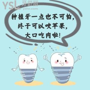 烤瓷牙和全瓷牙的價格表