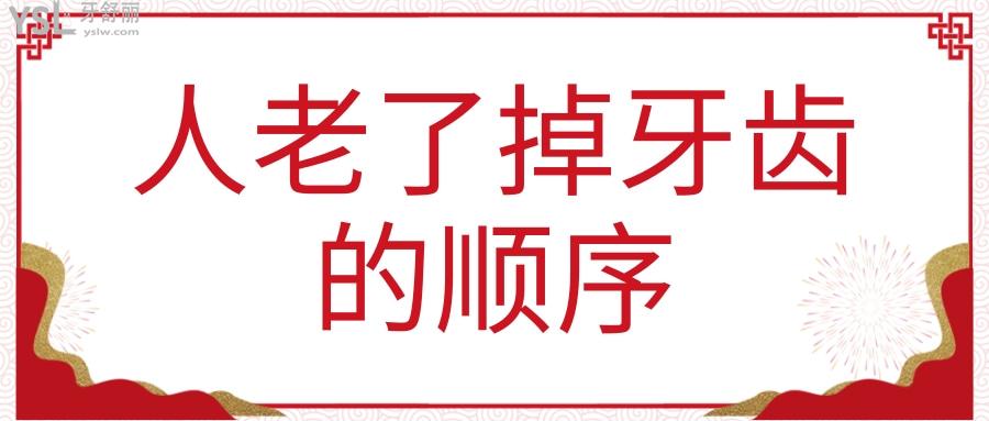 人老了掉牙齒的順序