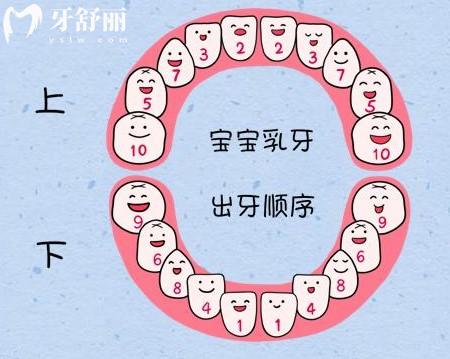 乳牙有多少顆