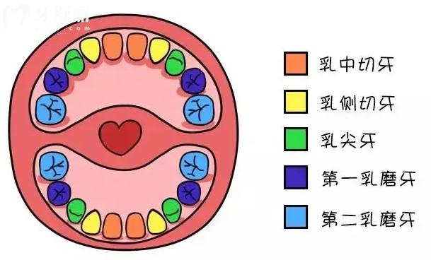 乳牙有多少顆