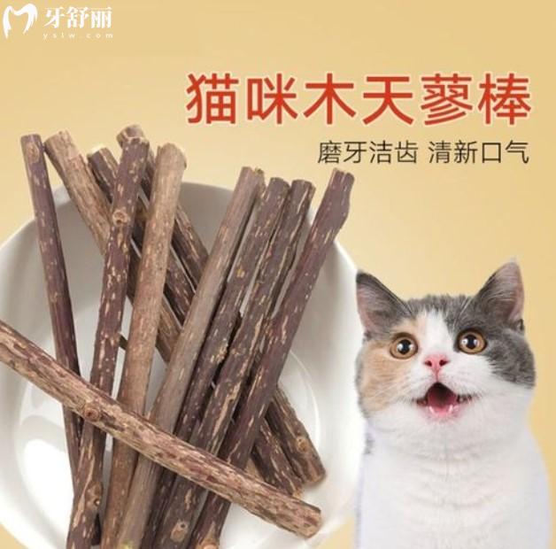 貓咪磨牙棒