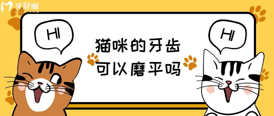 貓咪的牙齒可以磨平嗎