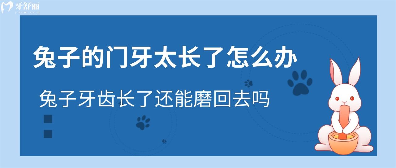 兔子的門牙太長了怎么辦？兔子牙齒長了還能磨回去嗎？