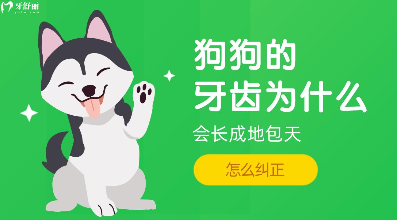 狗狗的牙齒為什么會(huì)長(zhǎng)成地包天,探詢狗狗地包天怎么糾正!