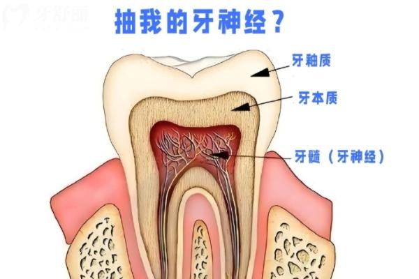 殺神經(jīng)和根管治療是一回事嗎？
