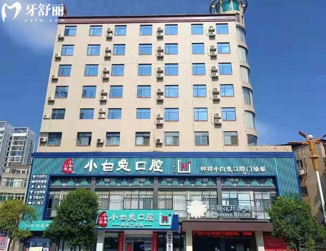 鐘祥小白兔口腔門頭