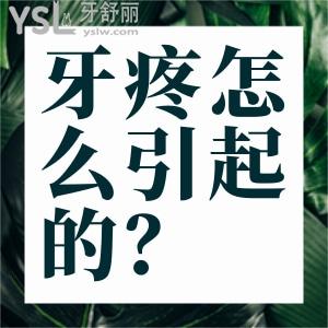 牙疼怎么引起的？智齒牙齦腫痛一樣嗎？