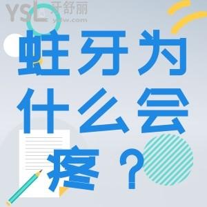 蛀牙為什么會疼？