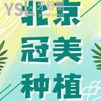 北京冠美口腔醫(yī)院全口種植怎么樣，價(jià)格 患者經(jīng)歷