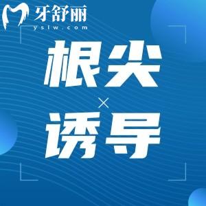 兒童根尖誘導需幾次完成？根尖誘導適合多大孩子？