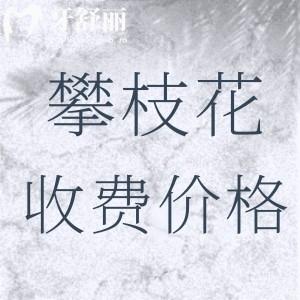 攀枝花正規(guī)口腔醫(yī)院收費(fèi)標(biāo)準(zhǔn)：攀枝花種植牙/正畸/兒牙價(jià)格分享