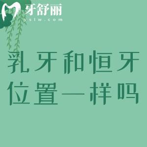 乳牙和恒牙的位置一樣嗎？
